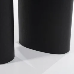 HUUS Bartafels*Bartafel Walter