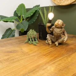 HUUS Eettafels*Eettafel Monique rechthoekig