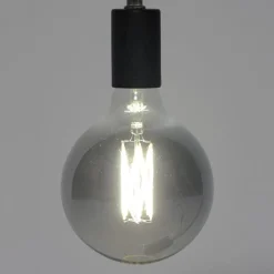 HUUS Lichtbronnen*Lichtbron LED filament bol Ø12,5 cm