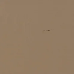 HUUS Opbergkasten*Opbergkast Cadiz