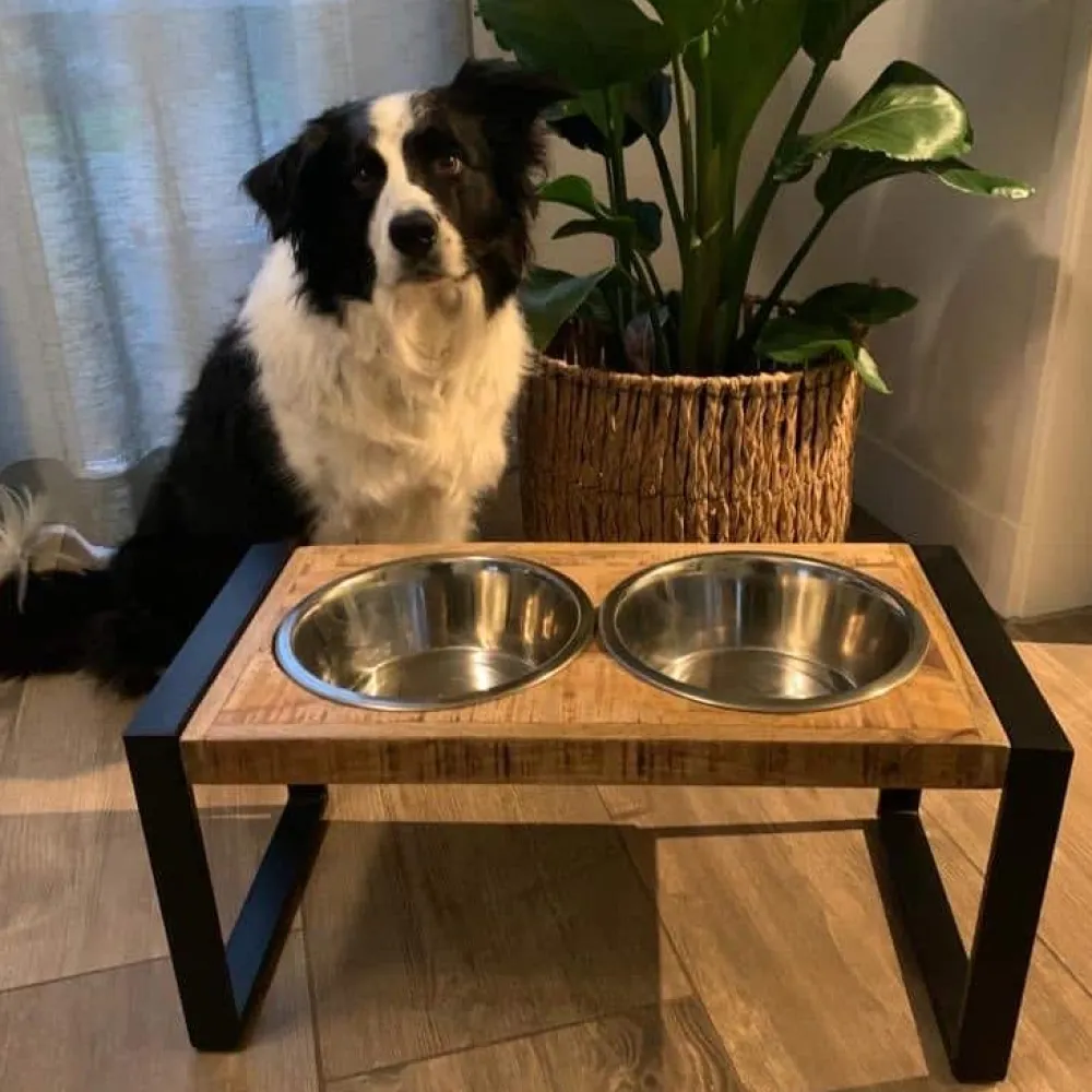 HUUS Overig*Voerbakje dier